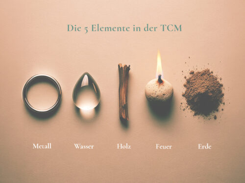 Infographic: 5 Elemente in der TCM: Metall Wasser Holz Feuer Erde