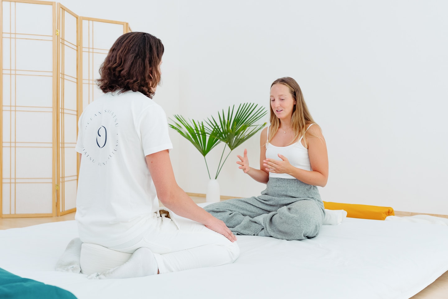 Shiatsu Massage - Gespräch vor einer Shiatsu Behandlung Ablauf einer Shiatsu Behandlung: Fragen